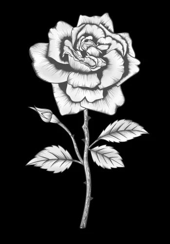 Цветок 069 (роза)