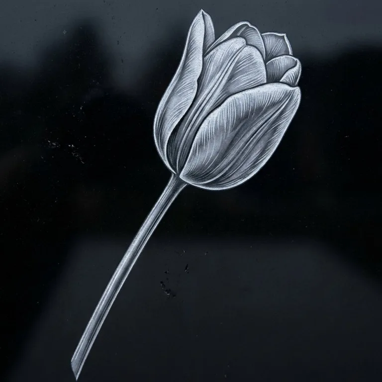 Одиночный тюльпан — гравировка на памятник в Казани